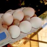 Германия разследва 200 птицеферми за измама с яйца